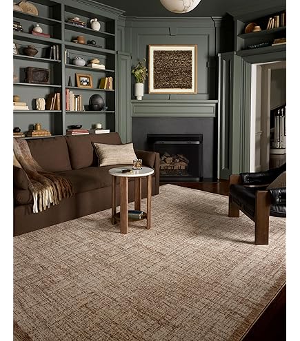 Amazon.com: Loloi Newman Collection NEW-02 Bark/Natural 6'-7